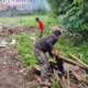 Wujudkan Lingkungan Sekolah yang Rapi, PCPM dan KOKAM Kandangan Gelar Aksi Gotong Royong di Kampus 2 SMP Muhammadiyah 5
