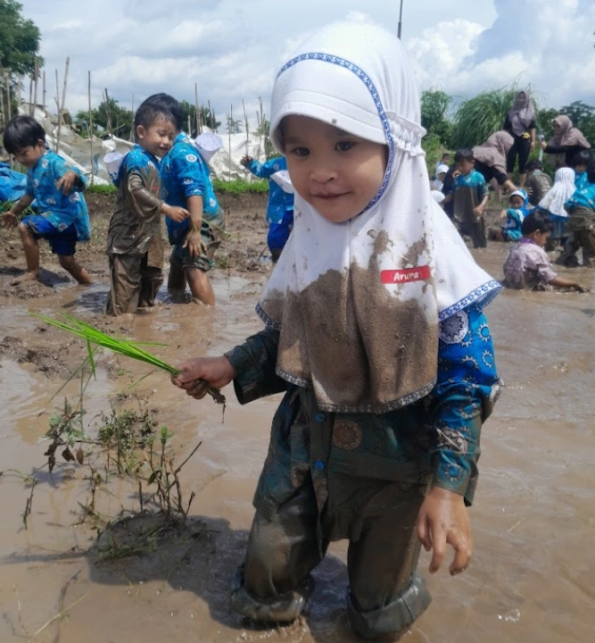 Menanam Karakter di Lumpur Sawah: Keseruan Program "Orang Tua Mengajar" KB Aisyiyah Pelangi Kertosari