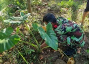 Terima Amanah Ketua PRM Kedungumpul, Pemuda Muhammadiyah Kandangan Siap Kelola Dua Petak Sawah