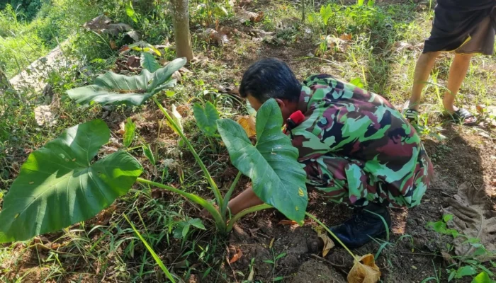 Terima Amanah Ketua PRM Kedungumpul, Pemuda Muhammadiyah Kandangan Siap Kelola Dua Petak Sawah