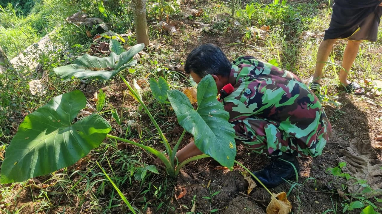 Terima Amanah Ketua PRM Kedungumpul, Pemuda Muhammadiyah Kandangan Siap Kelola Dua Petak Sawah