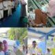 Jelang Ujian dan Wisuda Tahfidz, 72 Siswa MIMDA Ikuti Dauroh Selama Tiga Hari